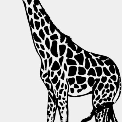 Giraffes Thumbnail
